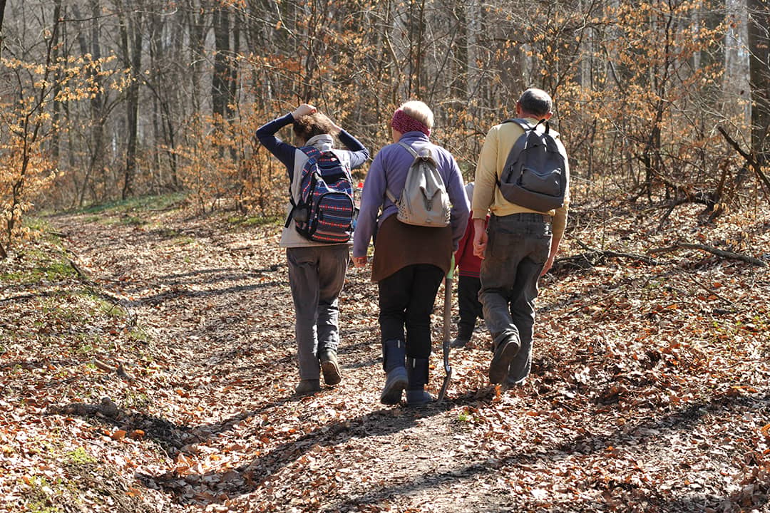 A family of young and senior adults hiking a forest.